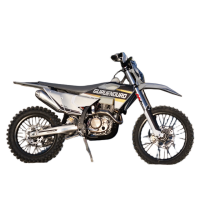 Мотоцикл GURUENDURO AIR300PRO