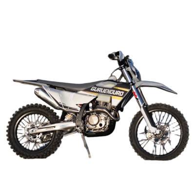 Мотоцикл GURUENDURO AIR300PRO 