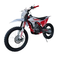Мотоцикл Hasky F9 RIDE YB300H MSD 